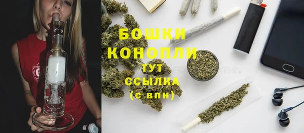 ГАЛЛЮЦИНОГЕННЫЕ ГРИБЫ Баксан