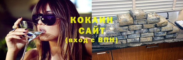 ГАЛЛЮЦИНОГЕННЫЕ ГРИБЫ Баксан